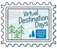 virtual-destination-days-final-dropshadow